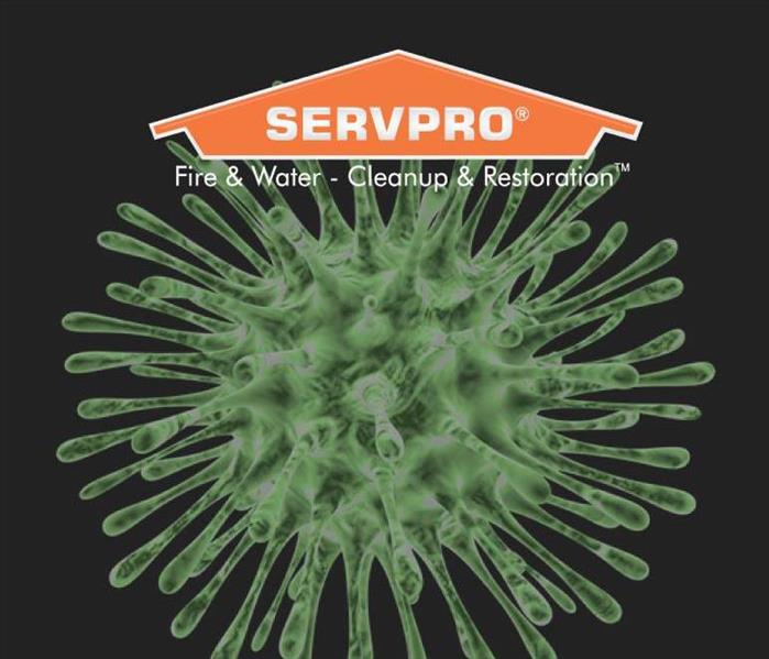 SERVPRO Performs Biohazard Cleanup Services