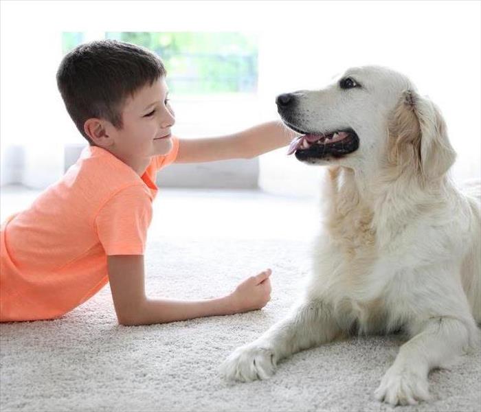 Young boy laying on a white carpet with a golden retriever dog